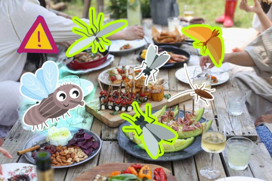 How to keep flies away from your picnic table? 9 effective ways